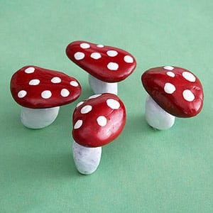 painted rock toadstools mushrooms