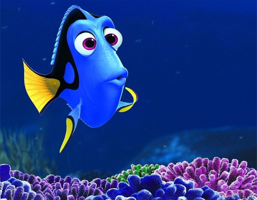 dory finding nemo