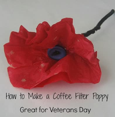 Making a Remembrance Day Poppy - BTN DIY 