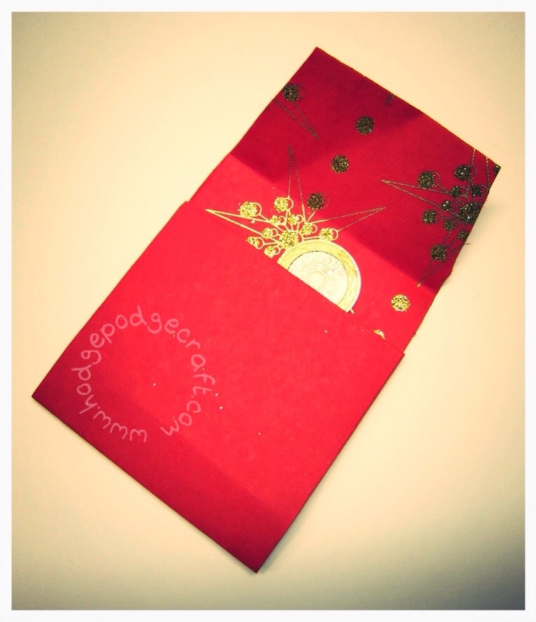 CNY lucky red money envelopes