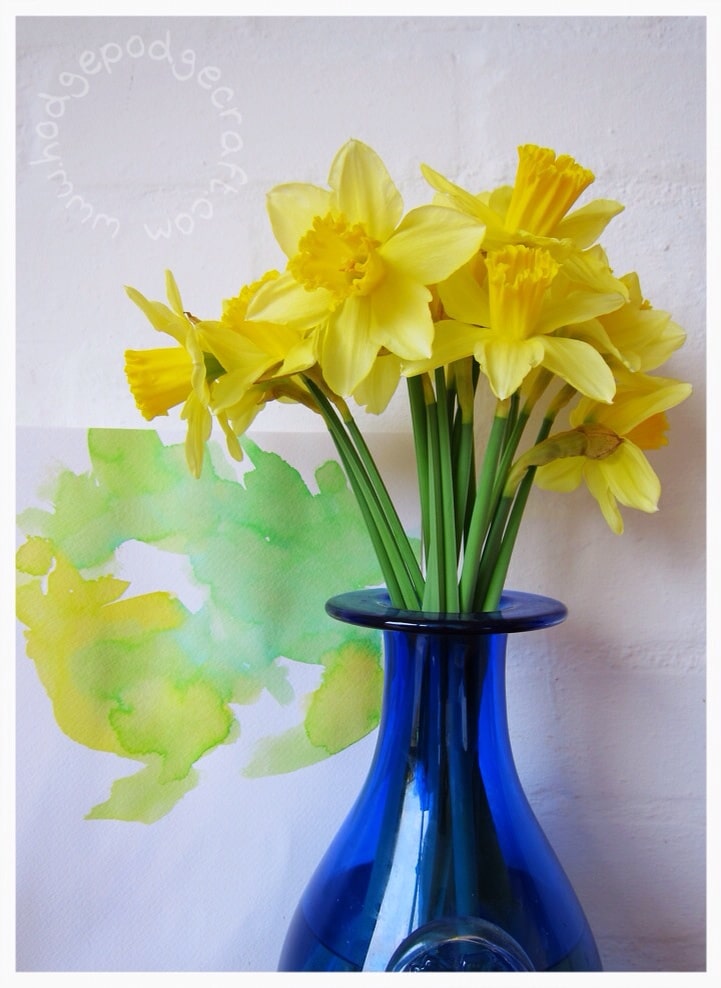 Watercolour daffodils