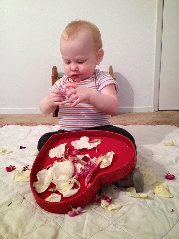 playing with petals baby sensory