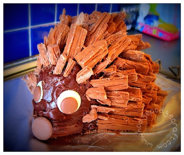 how to make the best chocolate hedgehog cake