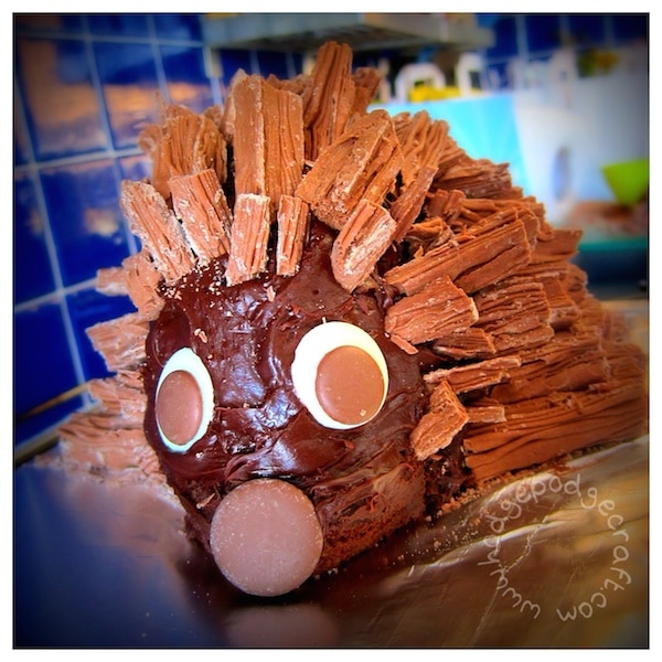 the best chocolate hedgehog cake recipe