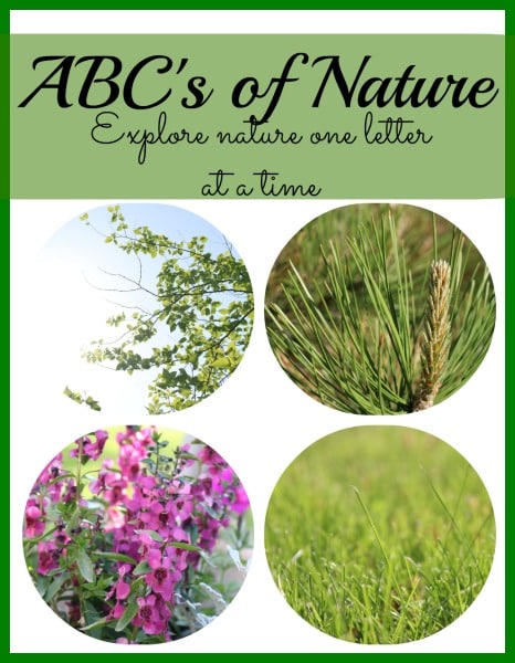 ABC's of Nature