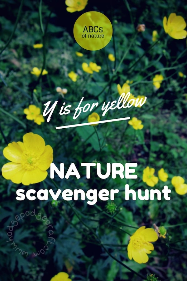 Nature scavenger hunt