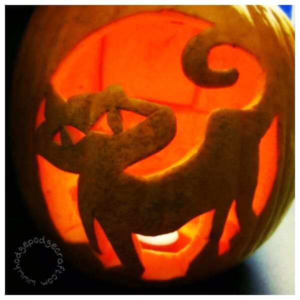 Cat carved pumpkin