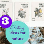 eXciting ideas inspired by nature thumbnail