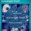 A scavenger hunt exploring texture in nature