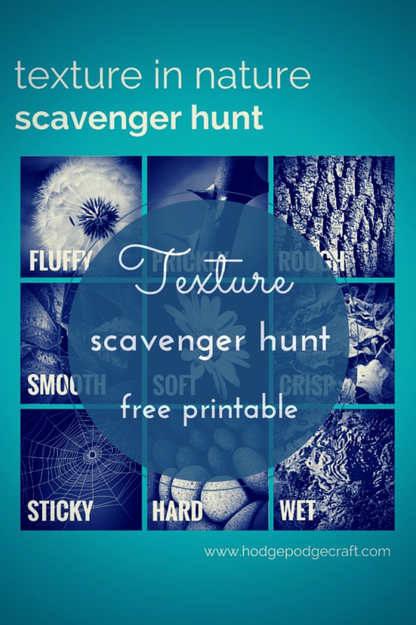 Texture scavenger hunt Pin