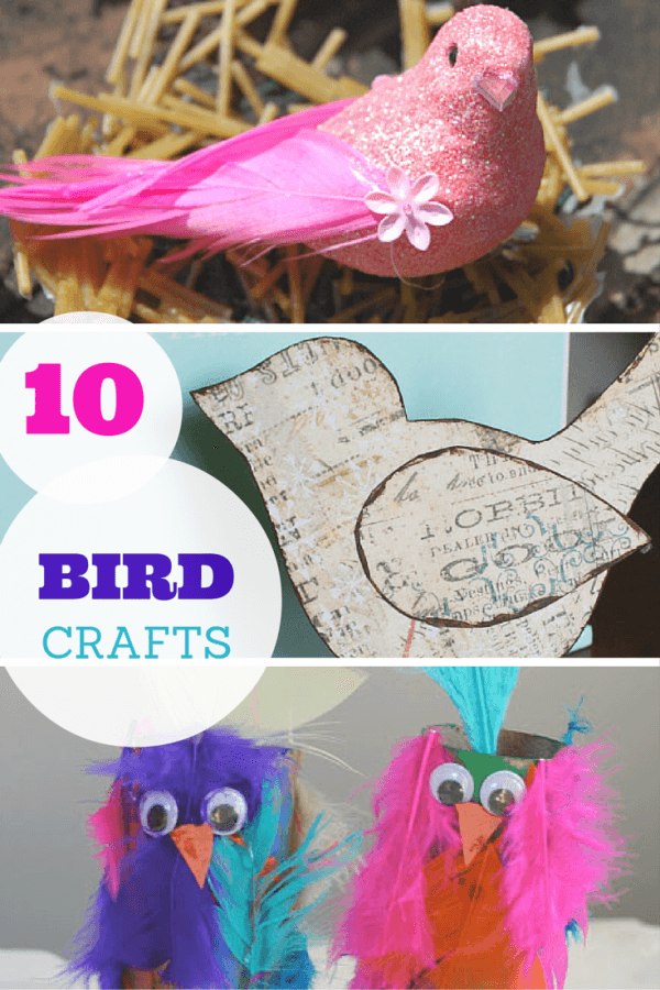 10 brilliant bird crafts